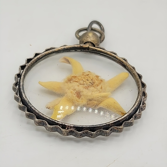 Vintage Lucite Starfish Pendant Domed Encased Specimen Silver Tone 1970s - Picture 3 of 9
